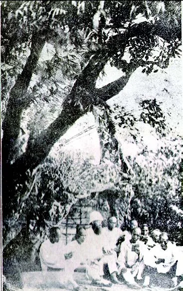 馬偕博士與逍遙學園時代的學生在八里坌大榕樹下上課,是初代學生最浪漫的回憶。該榕樹傾倒於1923年。