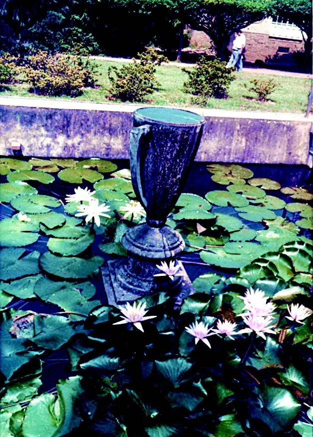 禮拜堂前的水池過去因長滿蓮花而留有「蓮花池」之名。
