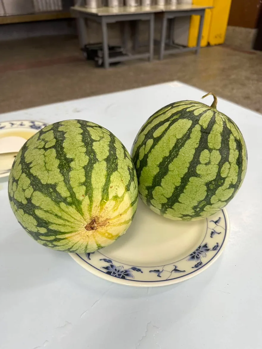 在炎熱的夏天,能吃到瑞祐阿公阿嬤、子宥媽媽,送來的西瓜以及冰棒,讓小… 3